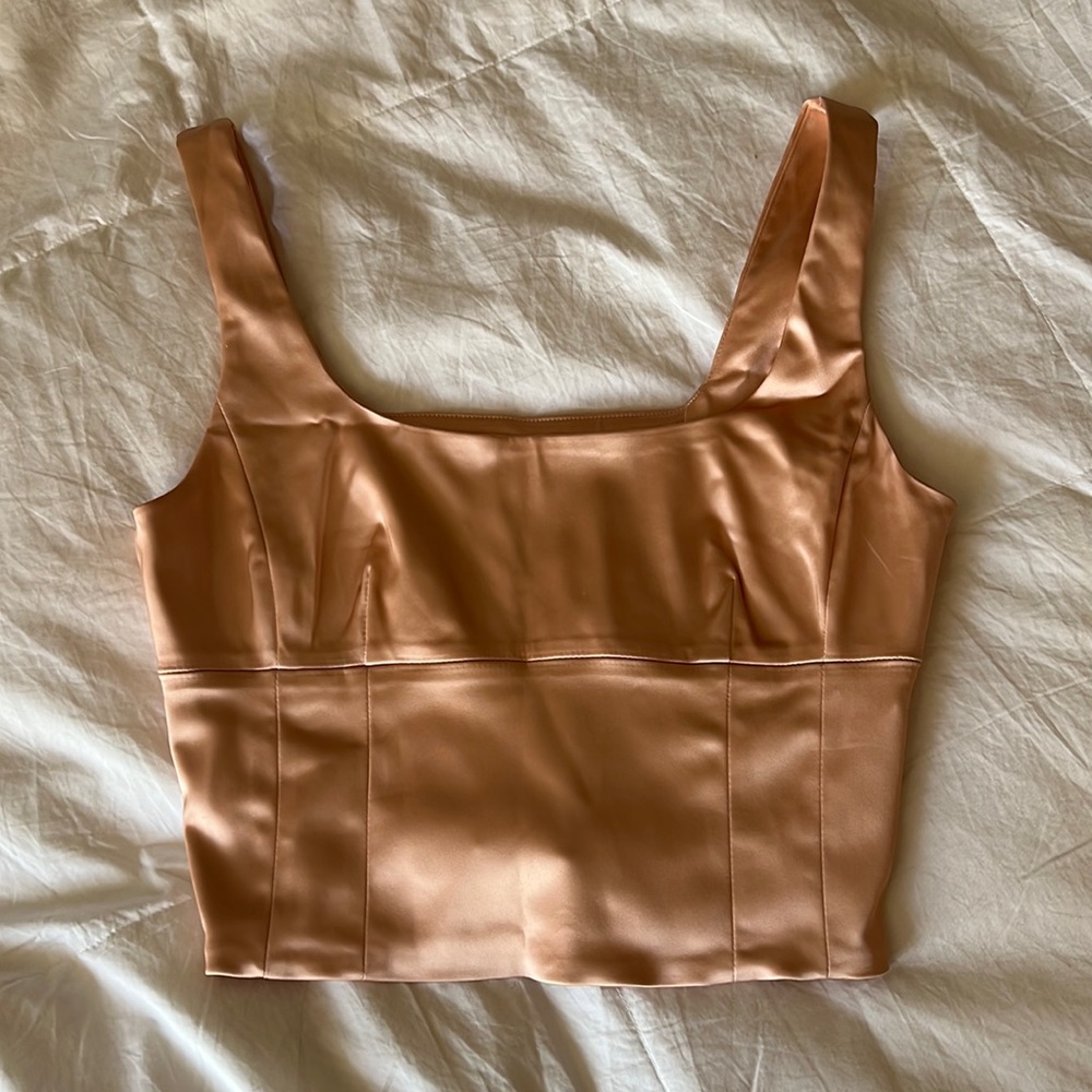 Aritzia sine satin bustier